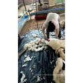 Cheap Price Other Animal Husbandry equipment high rpm Electric Flexible shaft wool shears sheep goat wool shearing machine